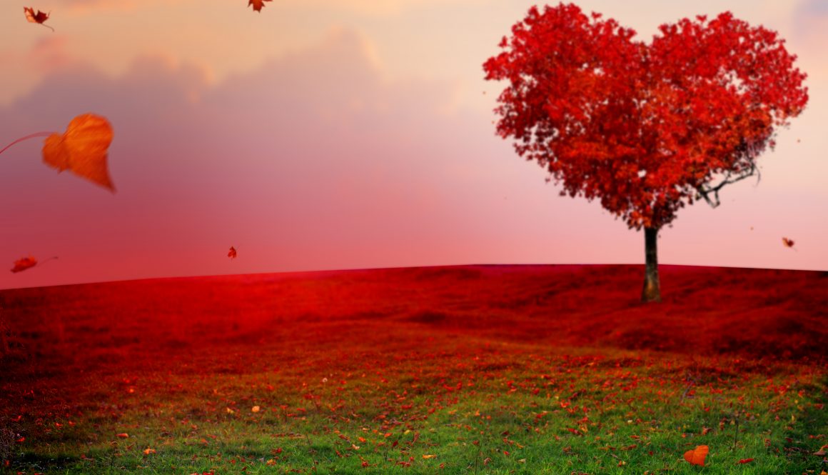 Tree of love in autumn. Red heart shaped tree at sunset.