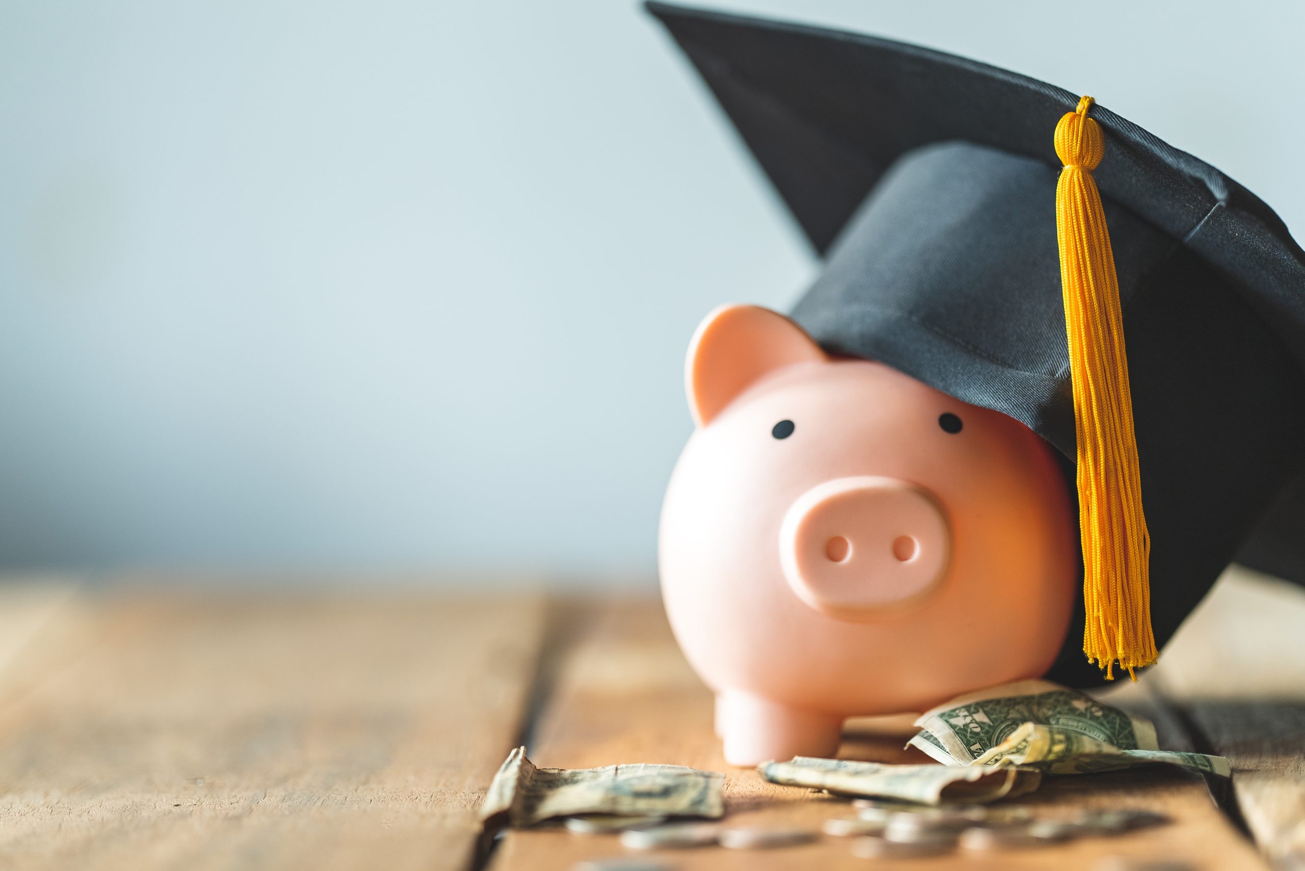 piggy bank With Graduation Cap on old wood,Money saving concept. piggy bank With Graduation Cap on old wood,Money saving concept.
